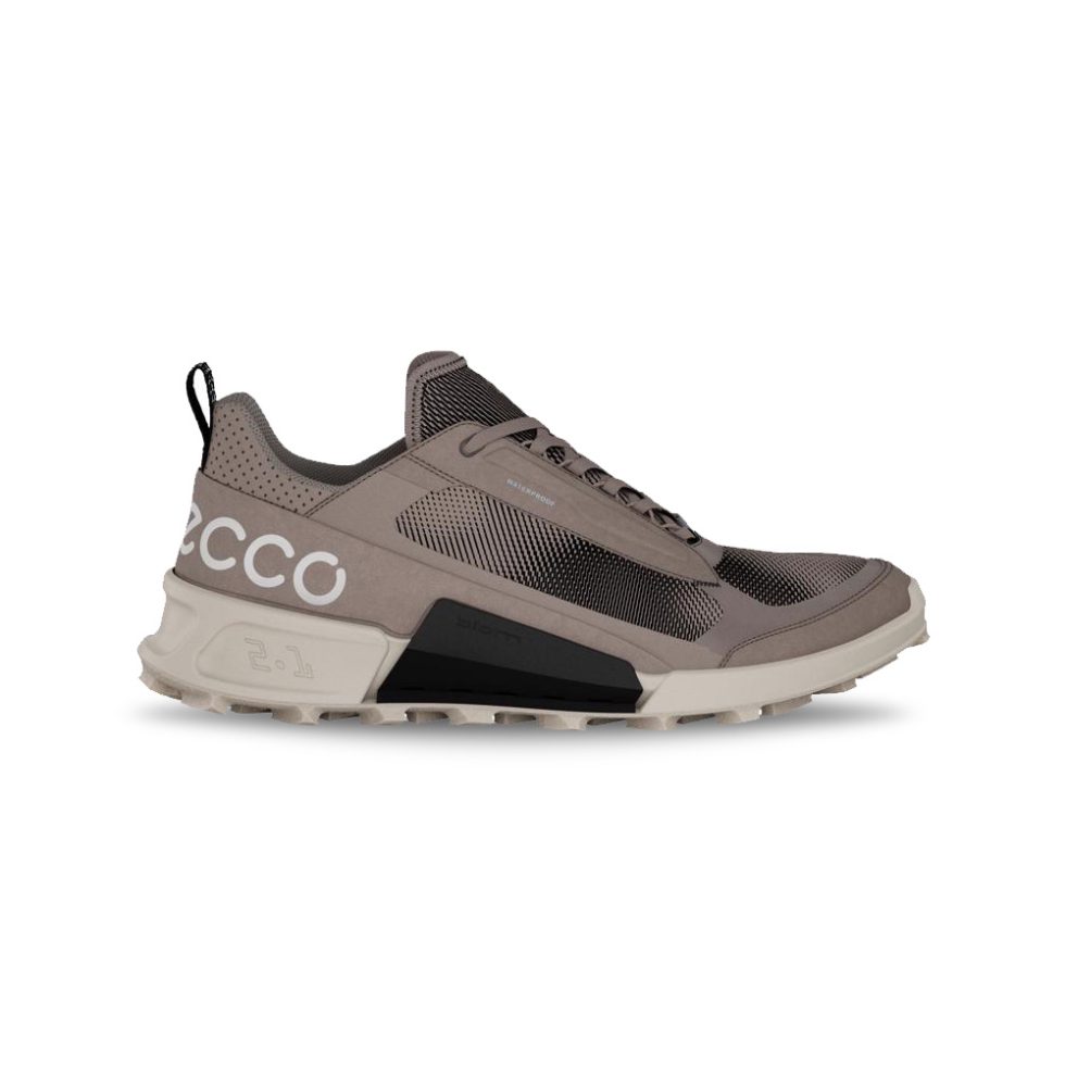 Ecco 2.1 X Biom Mountain