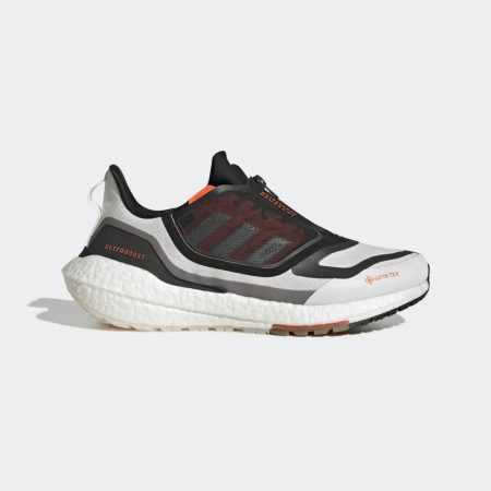 UltraBoost 22 Gore-Tex