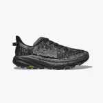 HOKA Speedgoat 6 GTX