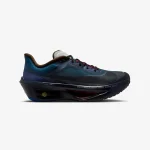 Nike Zoom Fly 6