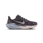 Nike Pegasus 41 SE
